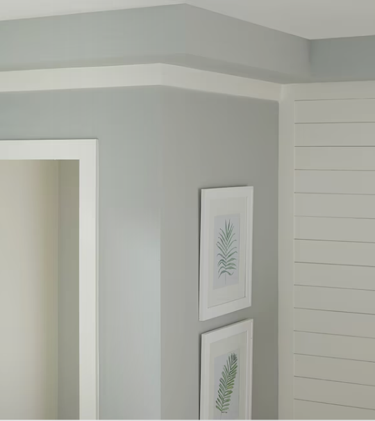 1-in x 6-in x 8-ft Primed Pine S4S Trim Board (Pack of 4)