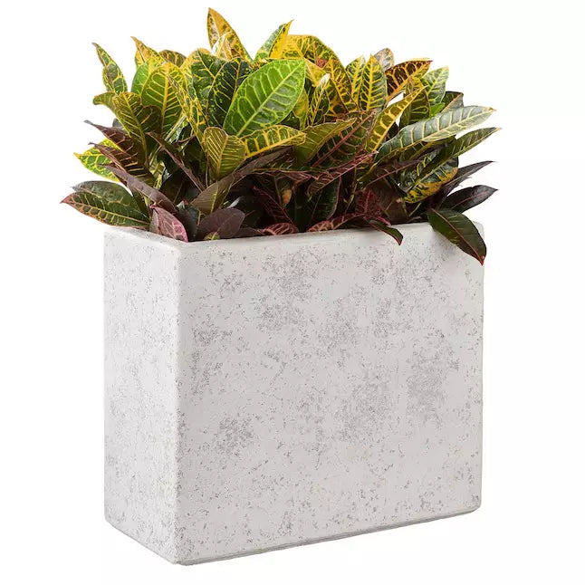 Allen + Roth Origin 21 8-in W Extra Large White Composite Deck Box Planter Pack of 2