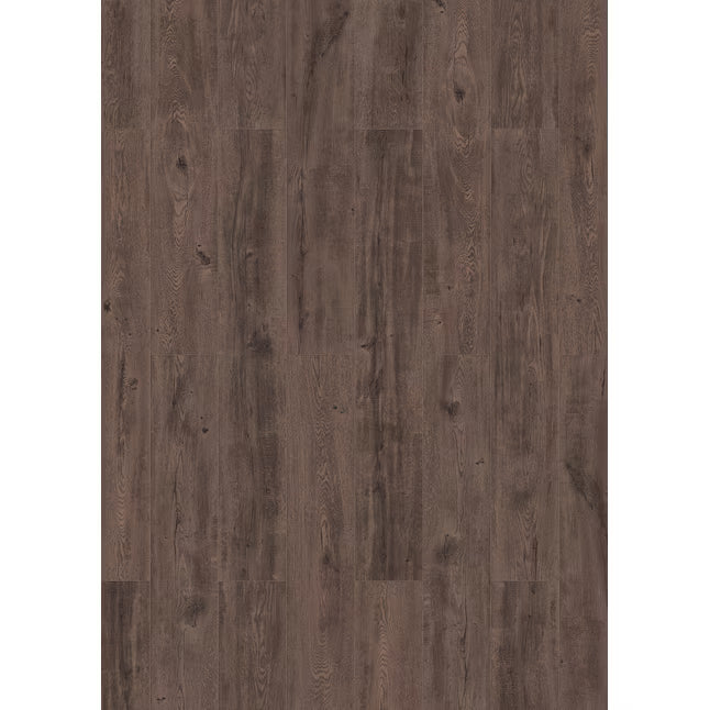 Allen+Roth Sierra Brown Oak 8-mm T x 8-in W x 50-in L Laminate Wood Flooring ( 23.92-sq ft / per box) )
