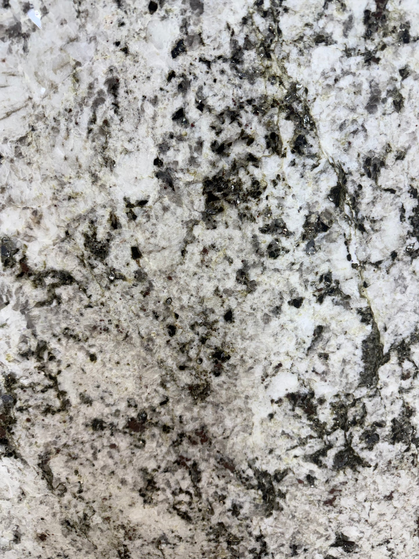 Alaska White  Real Granite Countertop