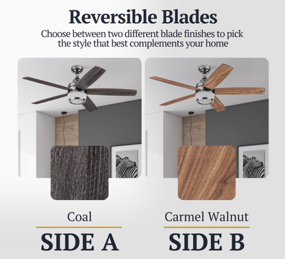 Prominence Home Tennyson 48 Inch Modern Indoor LED Ceiling Fan